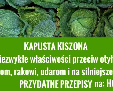 hotto.pl-kapust-kiszona-przepisy-domowe